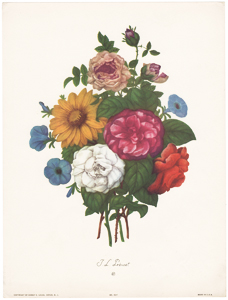 Vintage Prevost floral prints, roses, lilacs, poppy, Sidney Z Luca